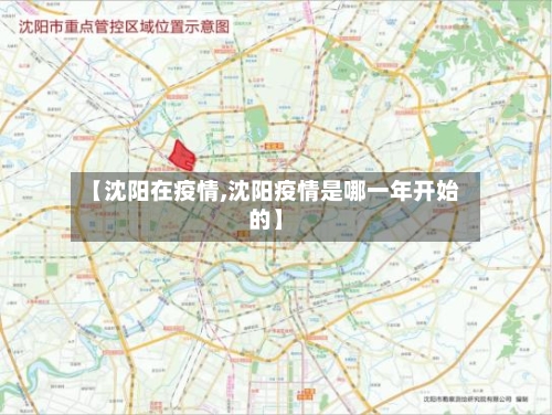 【沈阳在疫情,沈阳疫情是哪一年开始的】