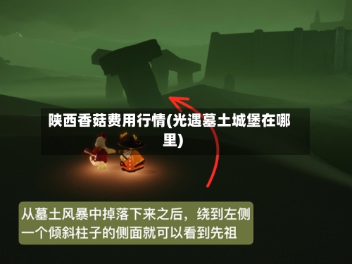 陕西香菇费用行情(光遇墓土城堡在哪里)-第2张图片