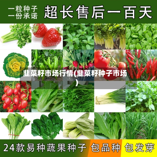 韭菜籽市场行情(韭菜籽种子市场)-第2张图片