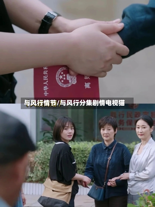 与风行情节/与风行分集剧情电视猫-第1张图片