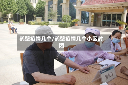 鹤壁疫情几个/鹤壁疫情几个小区封闭-第2张图片