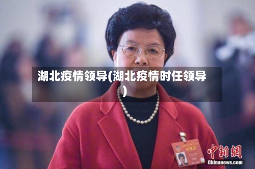 湖北疫情领导(湖北疫情时任领导)-第3张图片