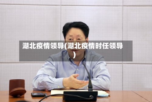湖北疫情领导(湖北疫情时任领导)-第2张图片