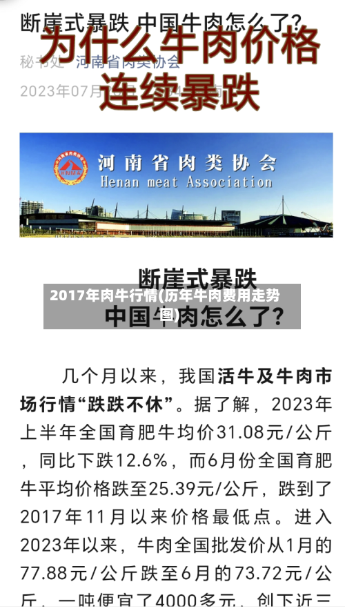 2017年肉牛行情(历年牛肉费用走势图)-第2张图片