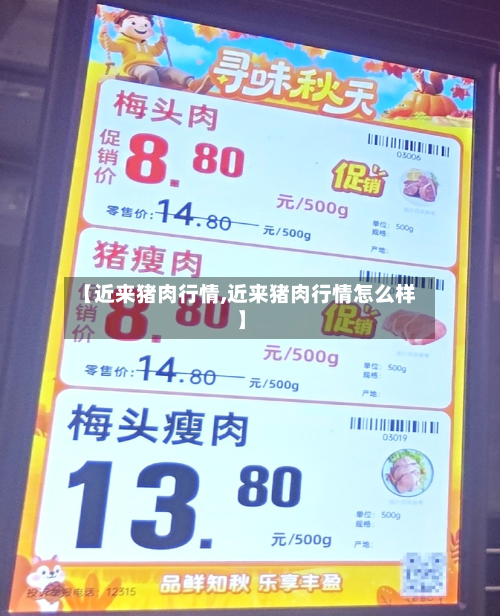 【近来猪肉行情,近来猪肉行情怎么样】-第2张图片