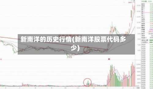 新南洋的历史行情(新南洋股票代码多少)-第2张图片