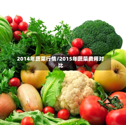2014年蔬菜行情/2015年蔬菜费用对比-第3张图片