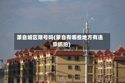 蒙自城区限号吗(蒙自有哪些地方有违章抓拍)-第2张图片