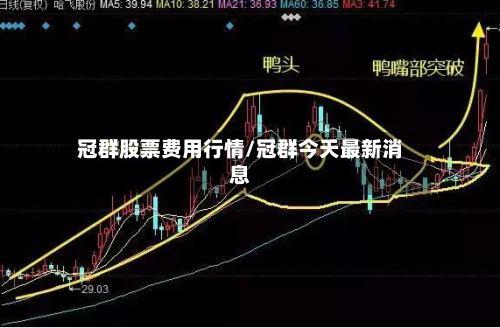 冠群股票费用行情/冠群今天最新消息-第2张图片