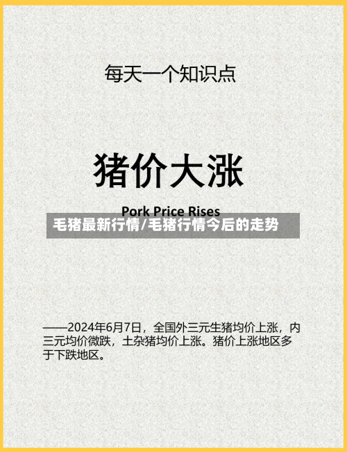毛猪最新行情/毛猪行情今后的走势-第3张图片