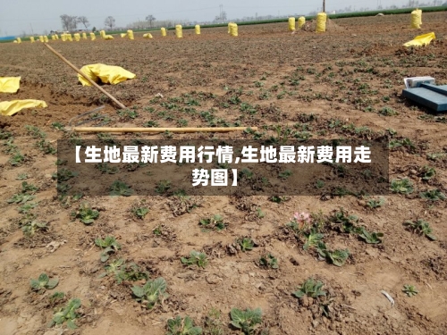 【生地最新费用行情,生地最新费用走势图】-第2张图片