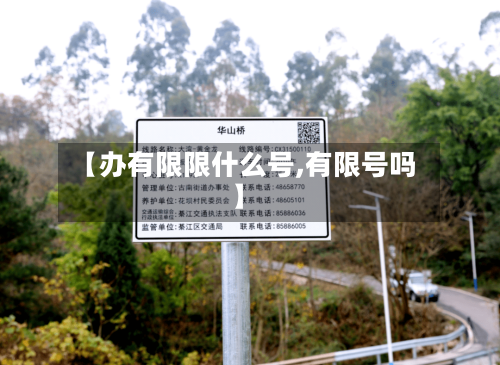 【办有限限什么号,有限号吗】-第3张图片