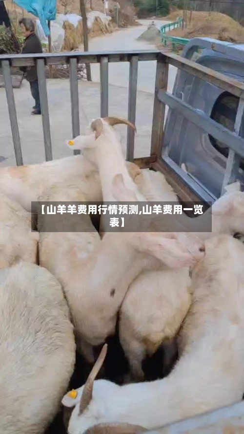 【山羊羊费用行情预测,山羊费用一览表】-第2张图片