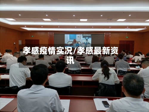 孝感疫情实况/孝感最新资讯-第3张图片