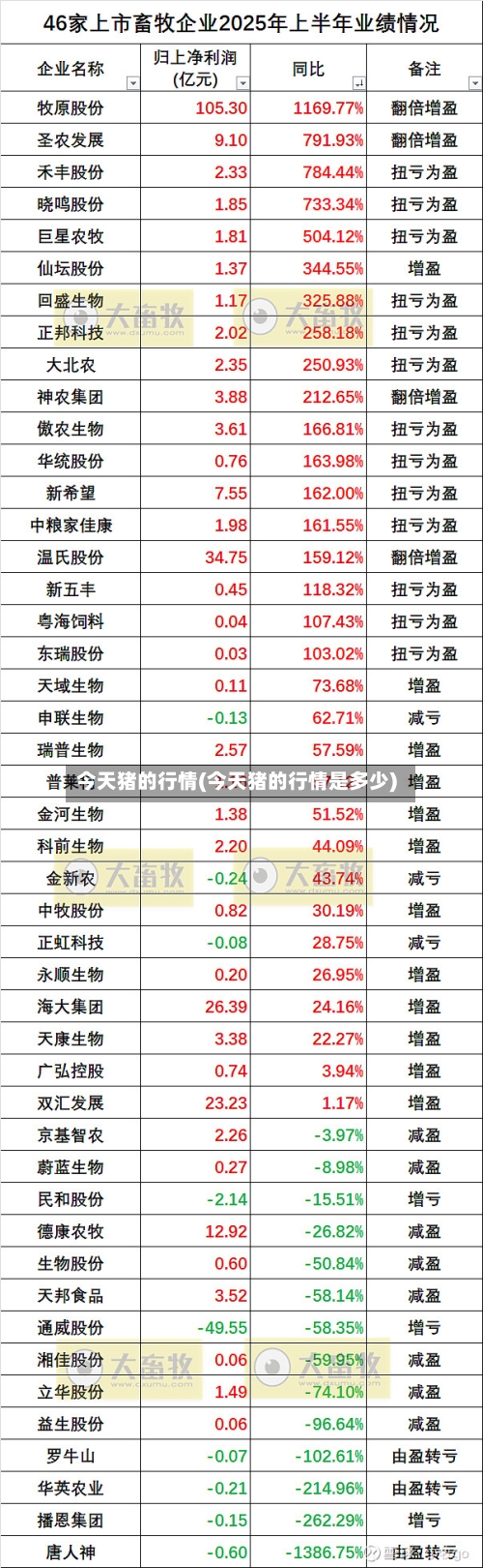 今天猪的行情(今天猪的行情是多少)-第2张图片