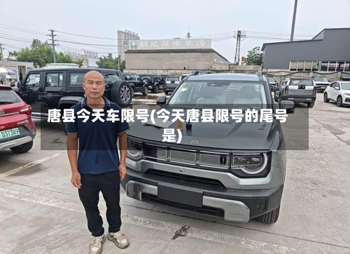 唐县今天车限号(今天唐县限号的尾号是)-第1张图片