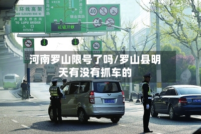 河南罗山限号了吗/罗山县明天有没有抓车的-第3张图片