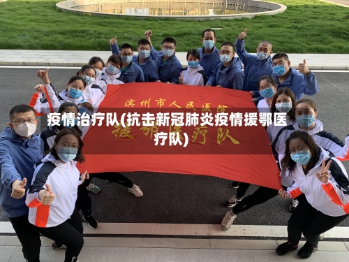 疫情治疗队(抗击新冠肺炎疫情援鄂医疗队)-第2张图片