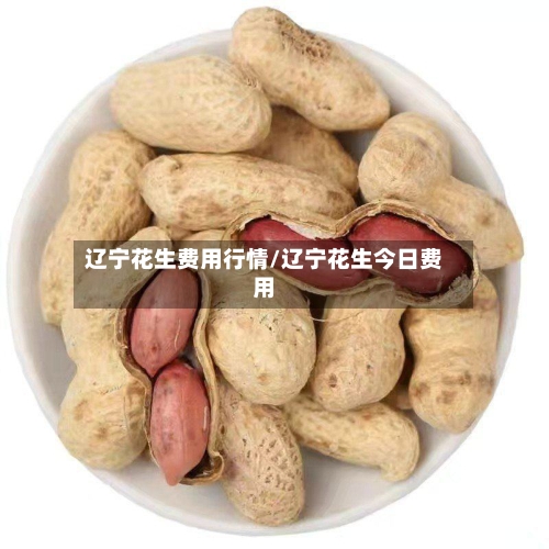 辽宁花生费用行情/辽宁花生今日费用-第1张图片