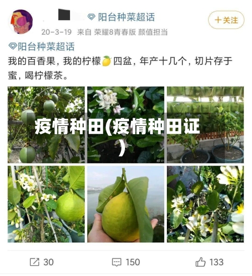 疫情种田(疫情种田证)-第3张图片