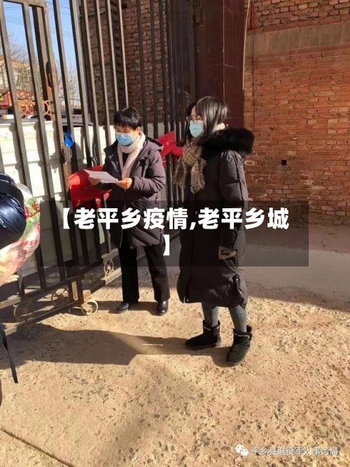 【老平乡疫情,老平乡城】-第2张图片