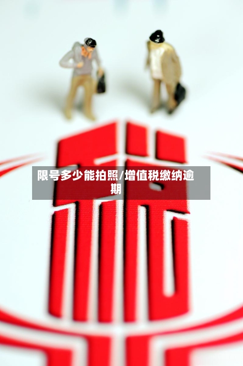 限号多少能拍照/增值税缴纳逾期-第2张图片