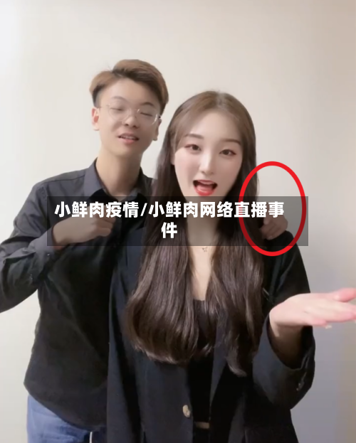 小鲜肉疫情/小鲜肉网络直播事件-第2张图片