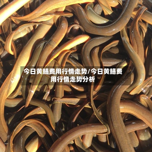 今日黄鳝费用行情走势/今日黄鳝费用行情走势分析-第1张图片