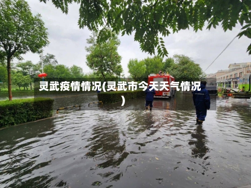 灵武疫情情况(灵武市今天天气情况)-第2张图片