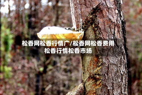 松香网松香行情广/松香网松香费用松香行情松香市场-第2张图片