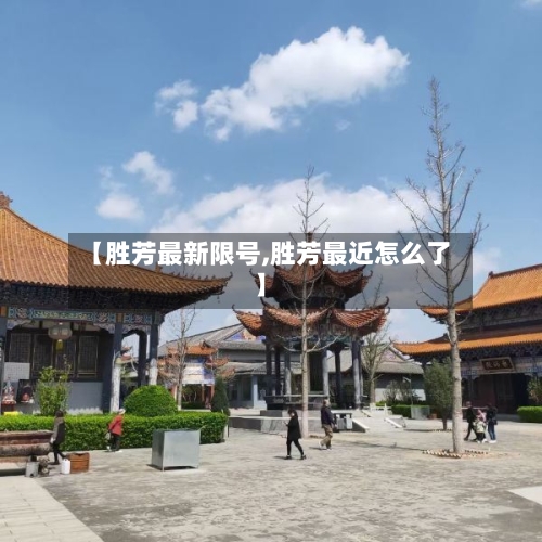 【胜芳最新限号,胜芳最近怎么了】-第2张图片