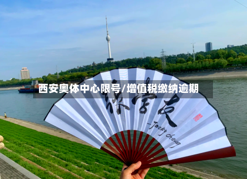 西安奥体中心限号/增值税缴纳逾期-第2张图片