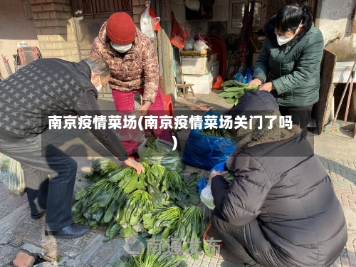 南京疫情菜场(南京疫情菜场关门了吗)-第2张图片