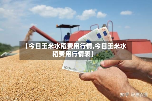 【今日玉米水稻费用行情,今日玉米水稻费用行情表】-第3张图片