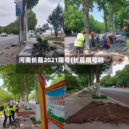 河南长葛2021限号(长葛限号吗)-第3张图片