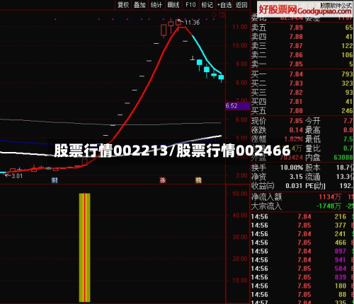 股票行情002213/股票行情002466-第2张图片