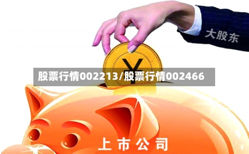 股票行情002213/股票行情002466-第3张图片