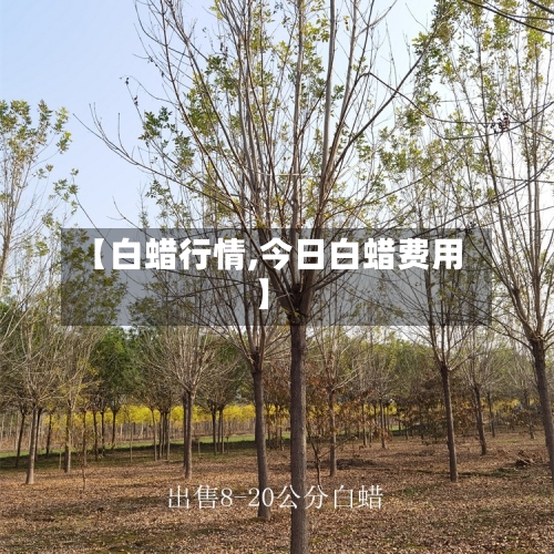 【白蜡行情,今日白蜡费用】-第1张图片