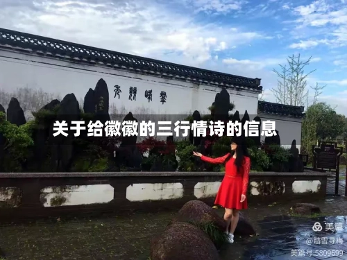 关于给徽徽的三行情诗的信息-第1张图片