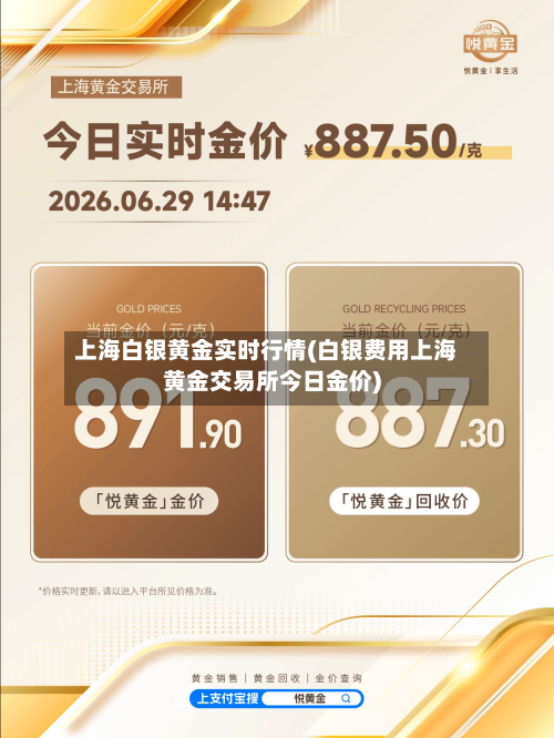 上海白银黄金实时行情(白银费用上海黄金交易所今日金价)-第3张图片