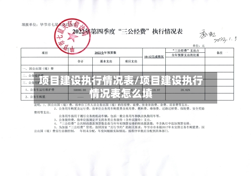 项目建设执行情况表/项目建设执行情况表怎么填-第2张图片