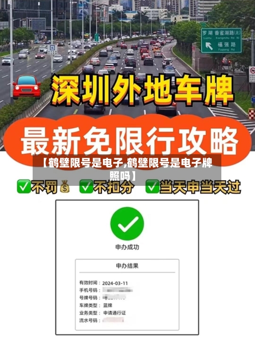 【鹤壁限号是电子,鹤壁限号是电子牌照吗】-第2张图片