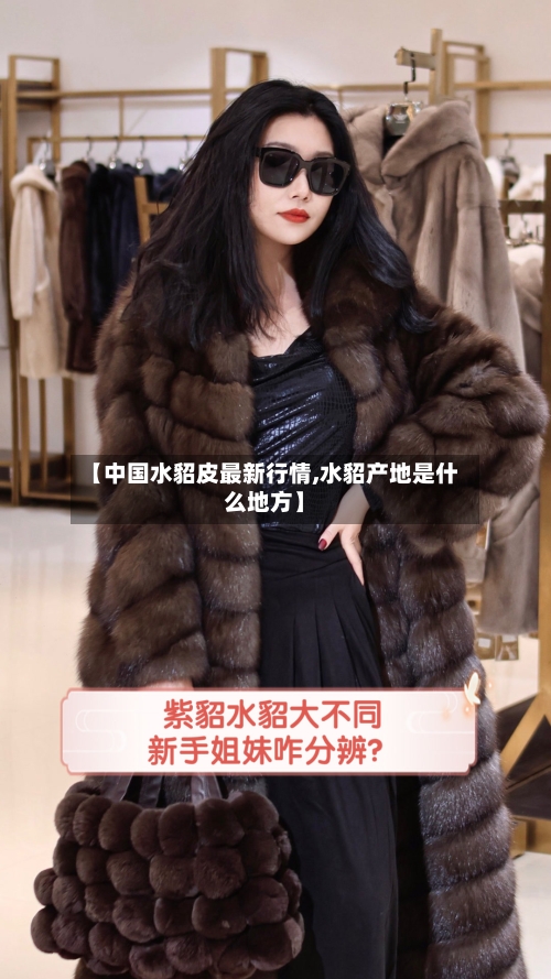 【中国水貂皮最新行情,水貂产地是什么地方】-第2张图片