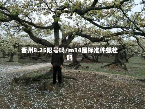 晋州8.25限号吗/m14是标准件螺栓吗-第3张图片