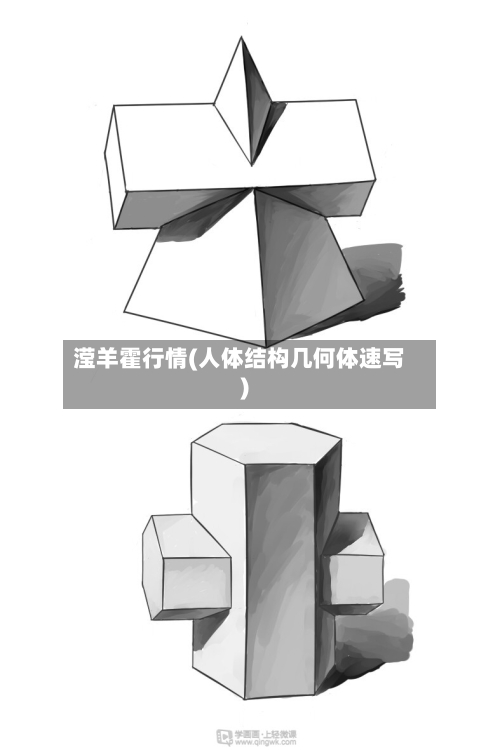 滢羊霍行情(人体结构几何体速写)-第1张图片