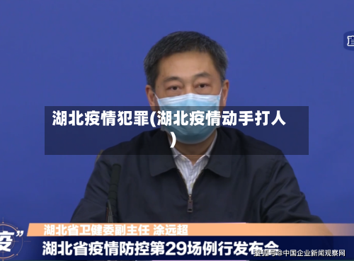 湖北疫情犯罪(湖北疫情动手打人)-第3张图片