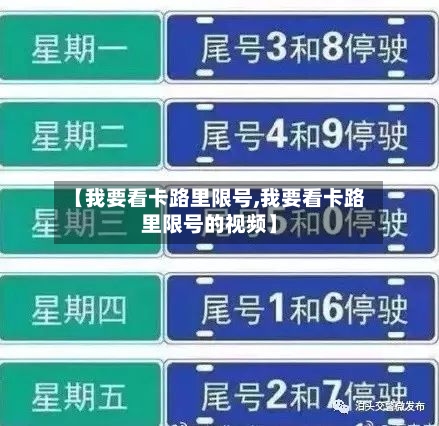 【我要看卡路里限号,我要看卡路里限号的视频】-第2张图片