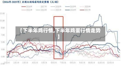 【下半年鸡行情,下半年鸡蛋行情走势】-第2张图片