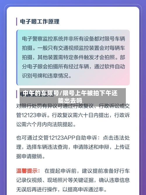 中午的车限号/限号上午被拍下午还能出去吗-第2张图片