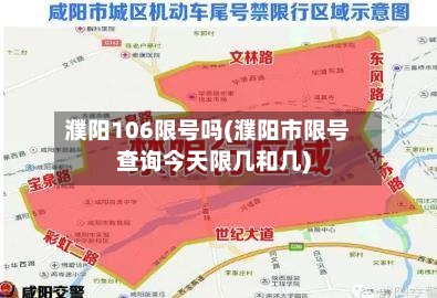 濮阳106限号吗(濮阳市限号查询今天限几和几)-第2张图片
